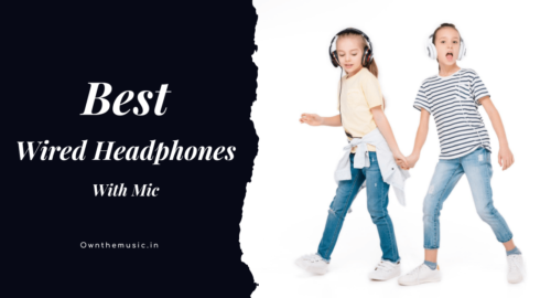 Best Wired Headphones With Mic